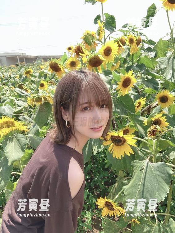 ——死库水大冒险！けん研在作品集中保持一步三滑的优雅……