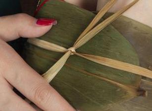 丽柜 – 蕊蕊与莲池：清丝飞舞，图库里的潜水指南！
